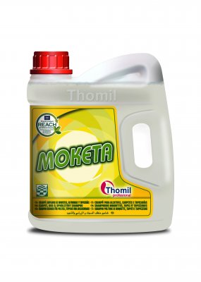 I THOMIL (cópia)
