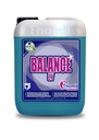 BALANCE LV, 10L: Secante máquina lava-louças ácido e desincrustante I THOMIL