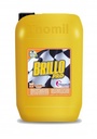 I THOMIL (cópia)